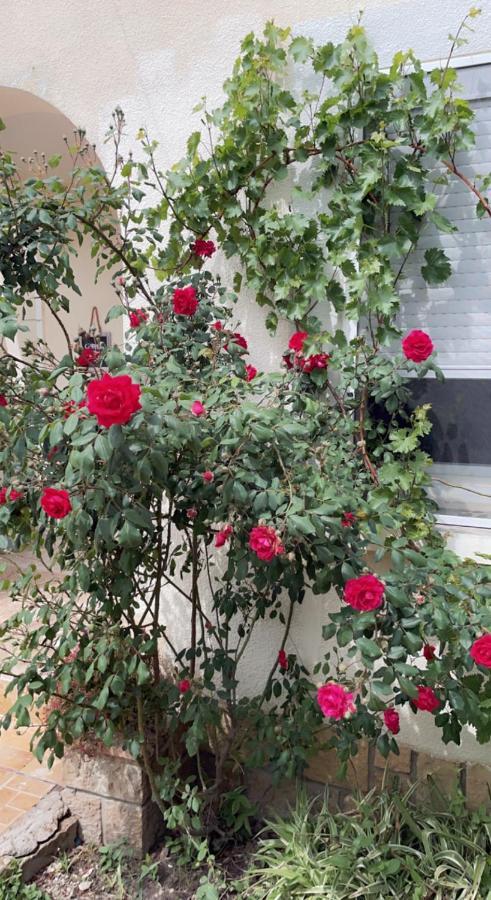 Chambre Cosy Arles Exterior foto